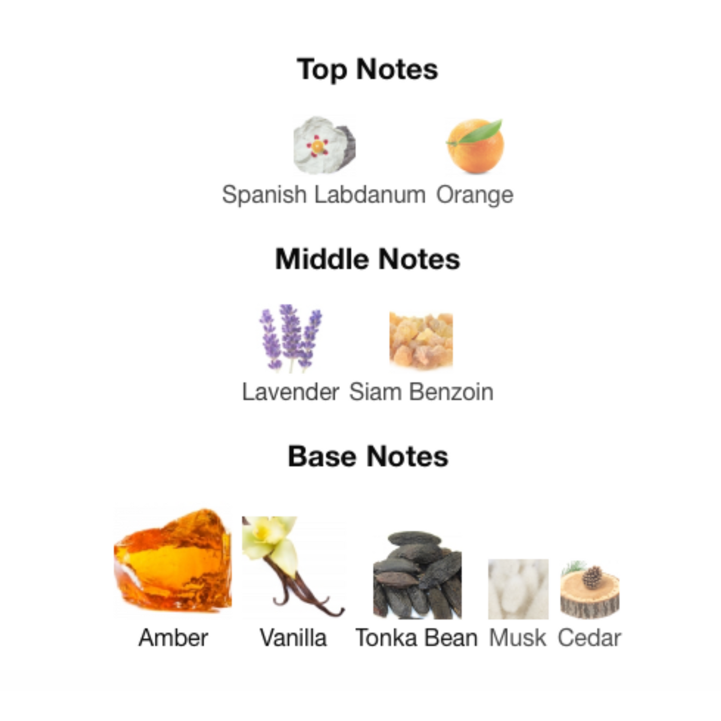 STONEY Eau De Parfum 01 Edition