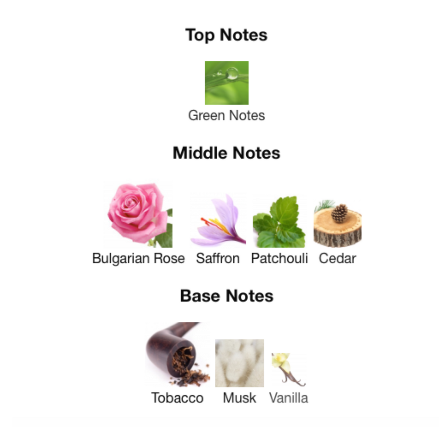 STONEY Eau De Parfum 02 Edition