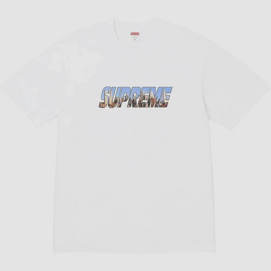 Supreme t-shirt